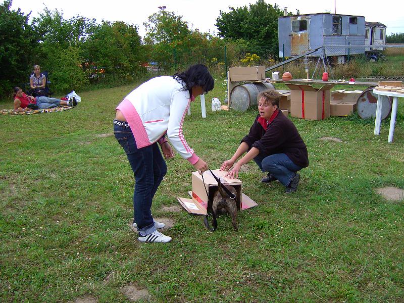 Naenarbeit und Denksport 008